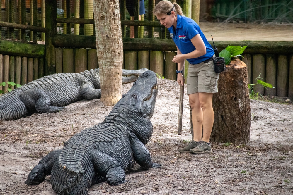 Alligator Farm Zoological Park