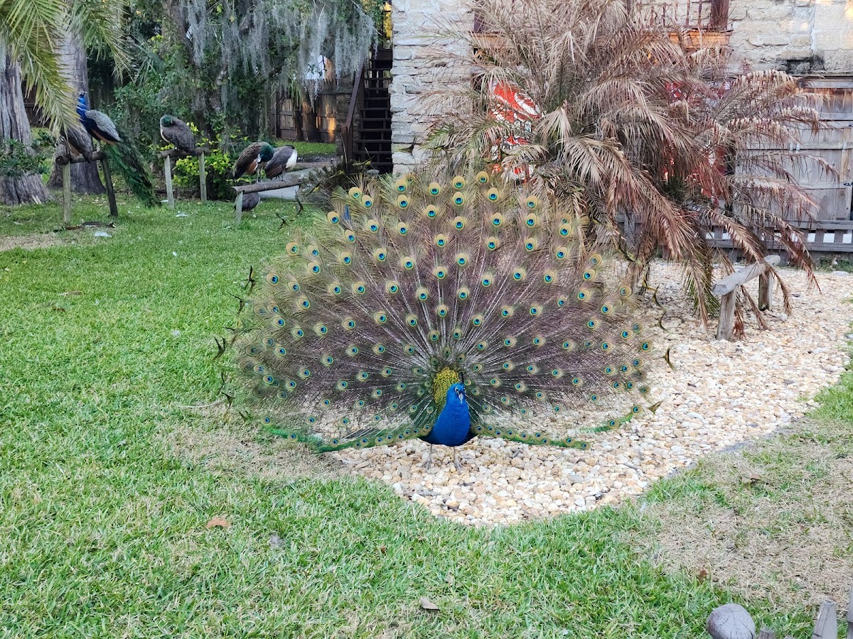 Fountain of Youth Ticket Office